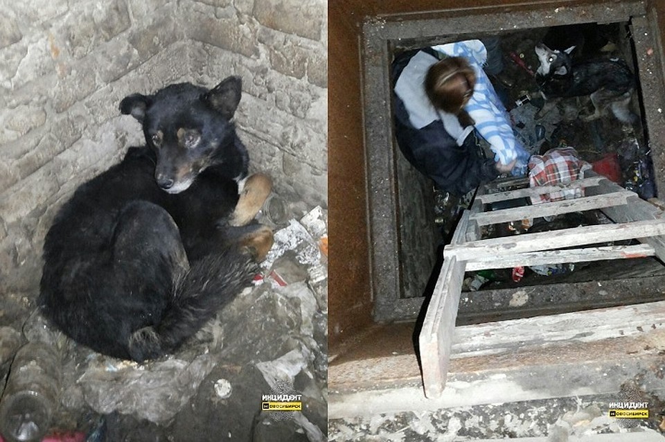 Фото: группа «Инцидент/Новосибирск»
