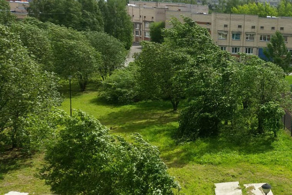 МЧС предупреждает об усилении ветра в Петербурге