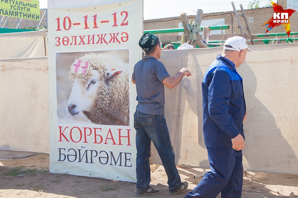 . Фото: Кирилл ПЕНКИН