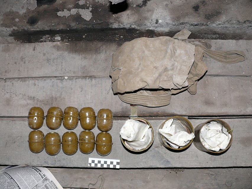 Двое свердловчан украли из воинской части боевые гранаты и запалы к ним Двое свердловчан украли из воинской части боевые гранаты и запалы к ним