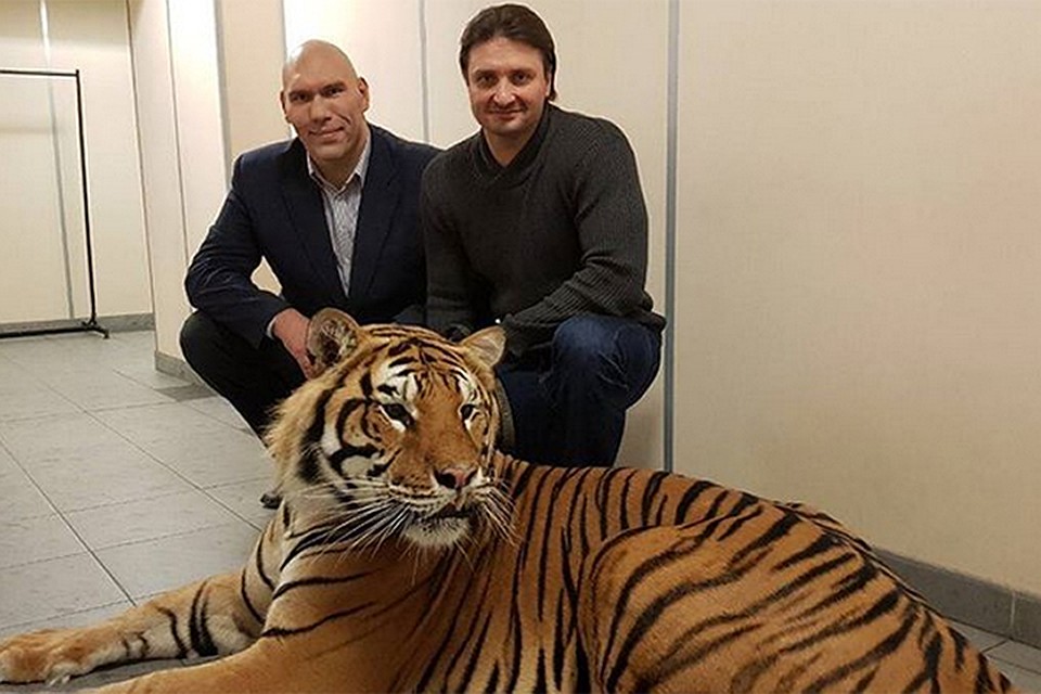 Спортсмен и депутат Госдумы Николай Валуев показал свое бесстрашие