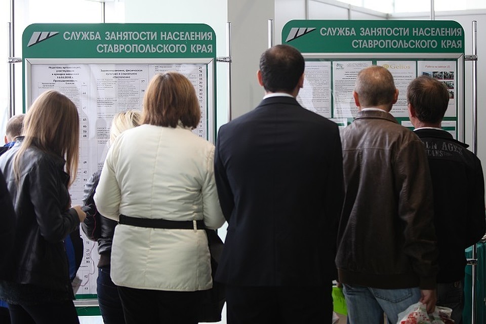 Стенды СЗН Ставропольского края