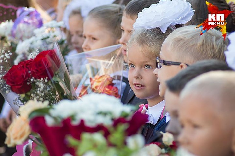Детей будет легче устроить в школу