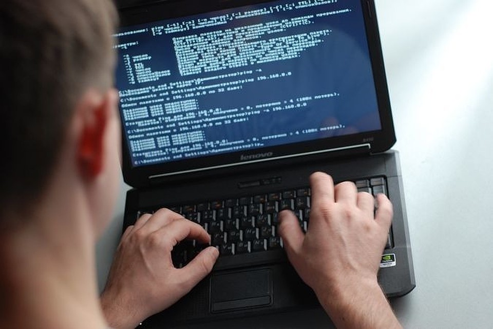 Самыми высокооплачиваемыми в Новосибирске оказались IT-специалисты