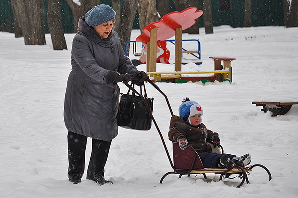 В системе, где родители не помогают бабушкам, выживаемость детей довольно низкая из-за того, что бабушки раньше умирают и не успевают заботиться о внуках