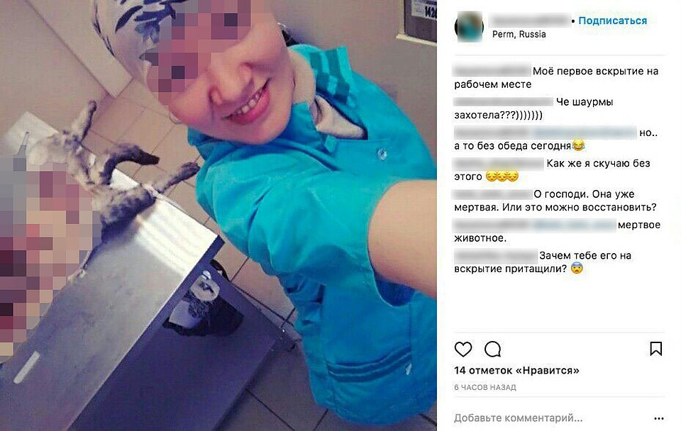 Сэлфи на фоне вскрытия: в Перми скандал в ветеринарной клинике Сэлфи на фоне вскрытия: в Перми скандал в ветеринарной клинике