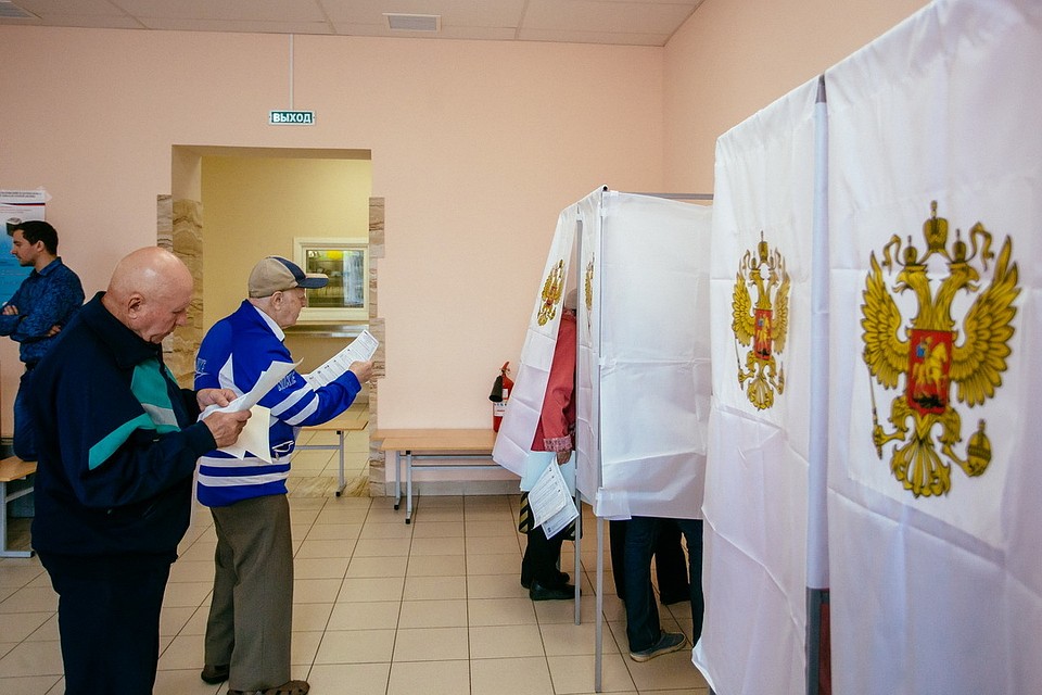 Все выявленные материалы направлены в Избирательную комиссию Псковской области.
