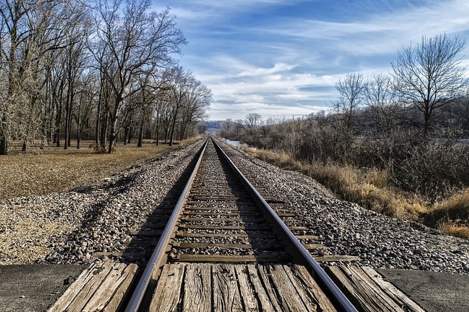 Фото: pixabay.com