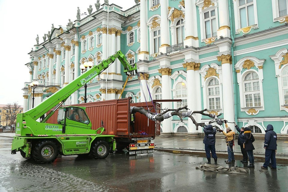 Вот такое дерево-камень скоро появится во дворе музея Фото: архив КП