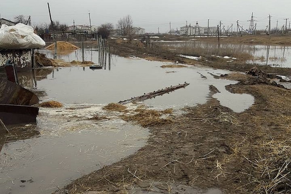 Режим ЧС из-за паводка введен во Фроловском районе. Фото: Виктора Шевякова