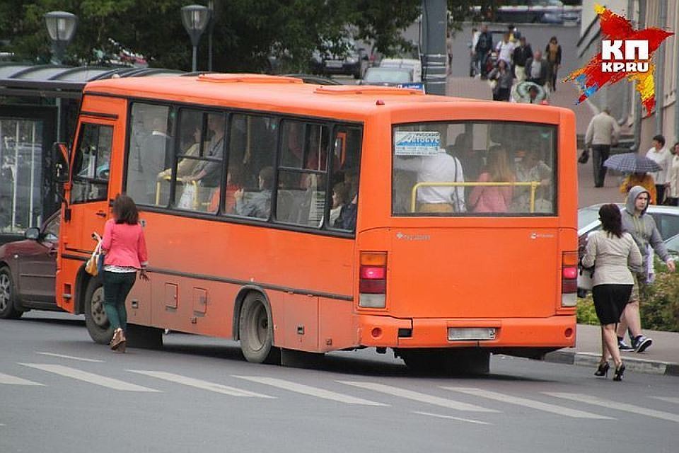 Транспорт будет двигаться с интервалом в 15 минут. Фото: Архив "КП"