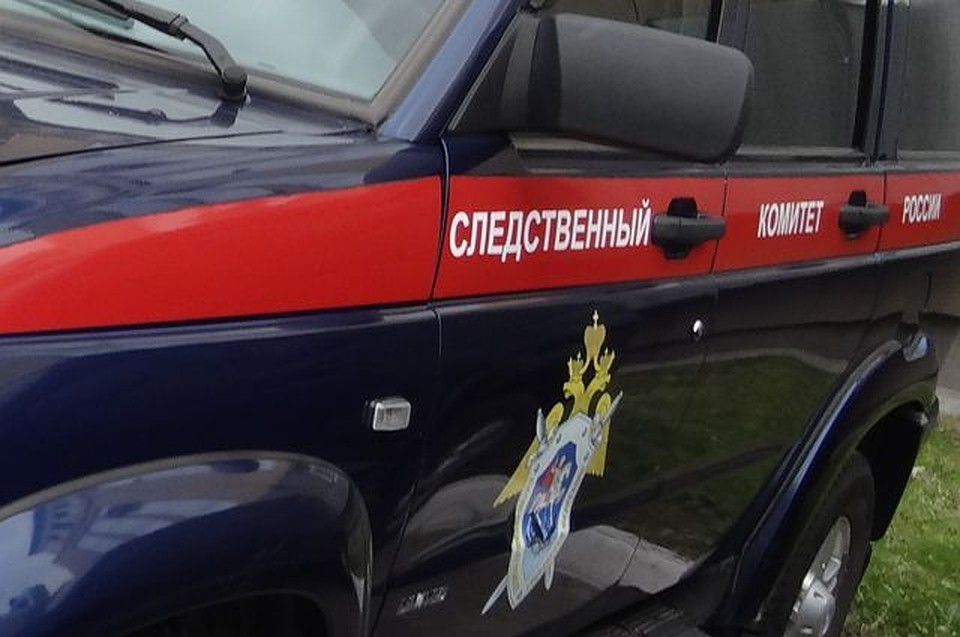 После нападения собак на детей действиям чиновников Салехарда дадут правовую оценку