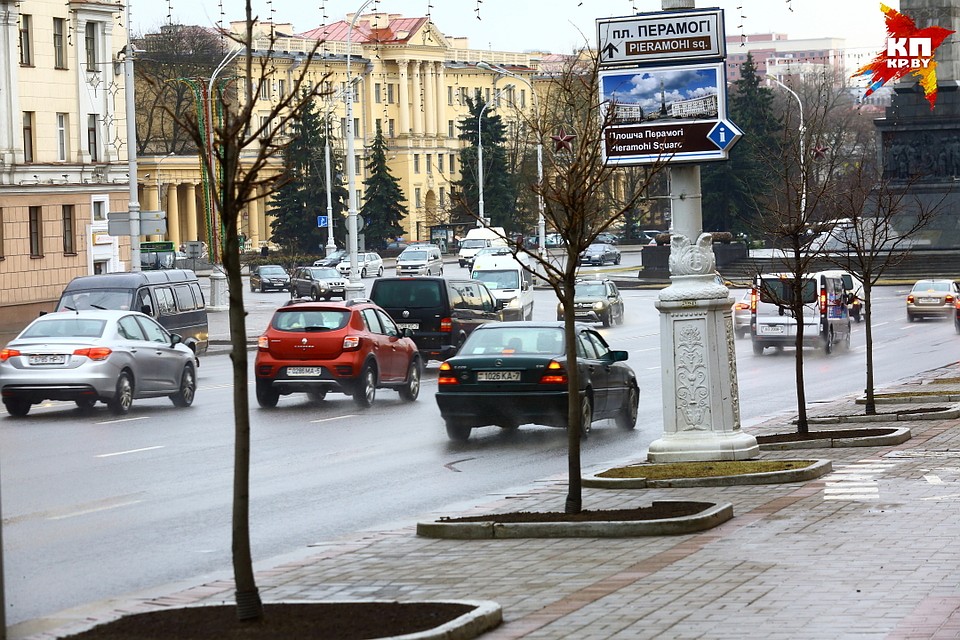 На проспекте Независимости высаживают новые липы