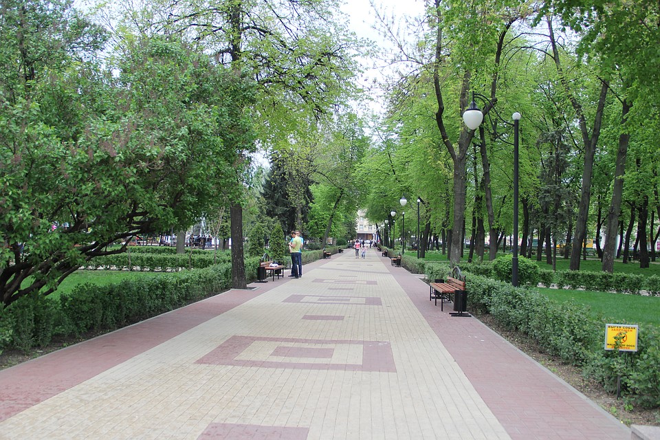 Деревья обновят в том числе и в парках города