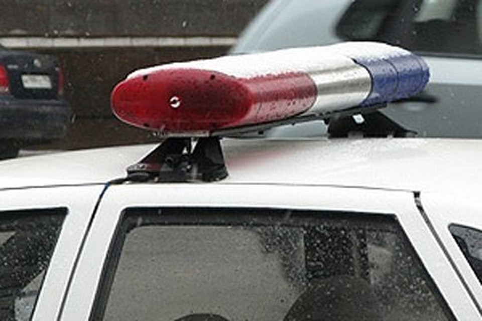 Орловские фармацевты помогли полиции найти воровку