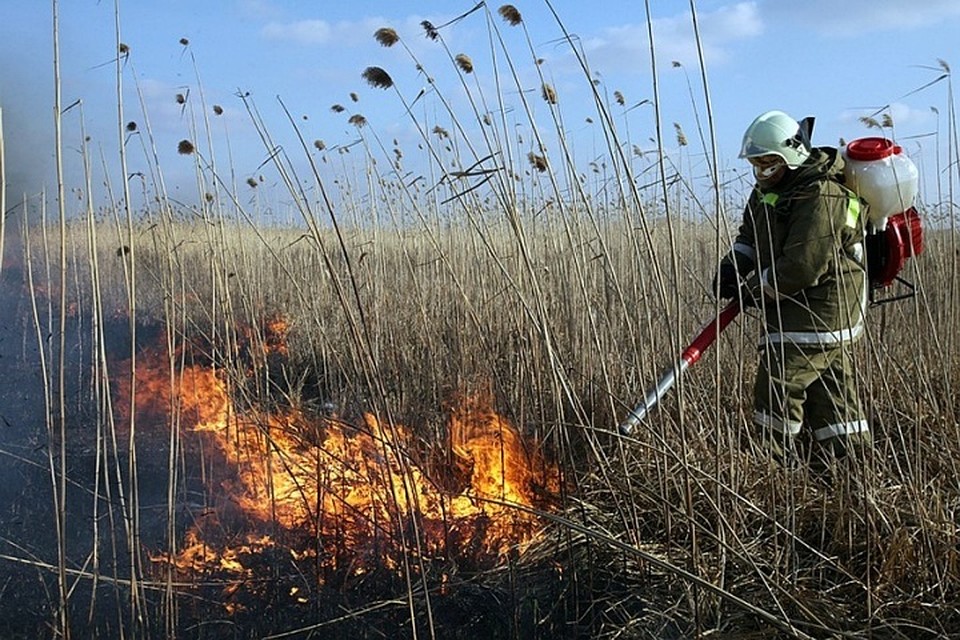 Все пожары сухостоя вокруг Белгорода потушены