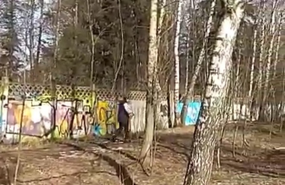 Видео появилось в группе о ЧП в Ростове-на-Дону. Фото: chp_rnd_