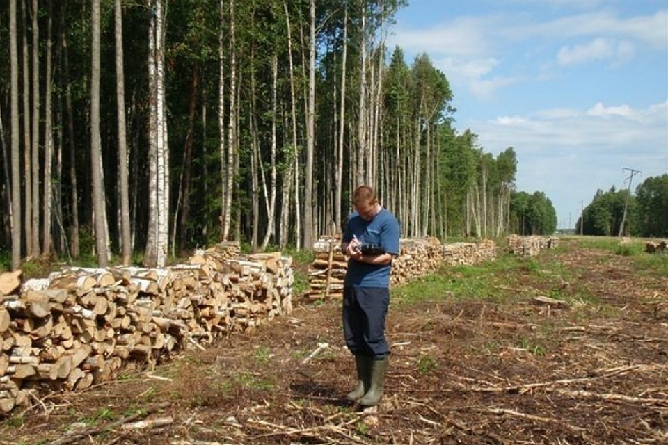 В Хабаровском крае появятся общественные экологические инспекторы