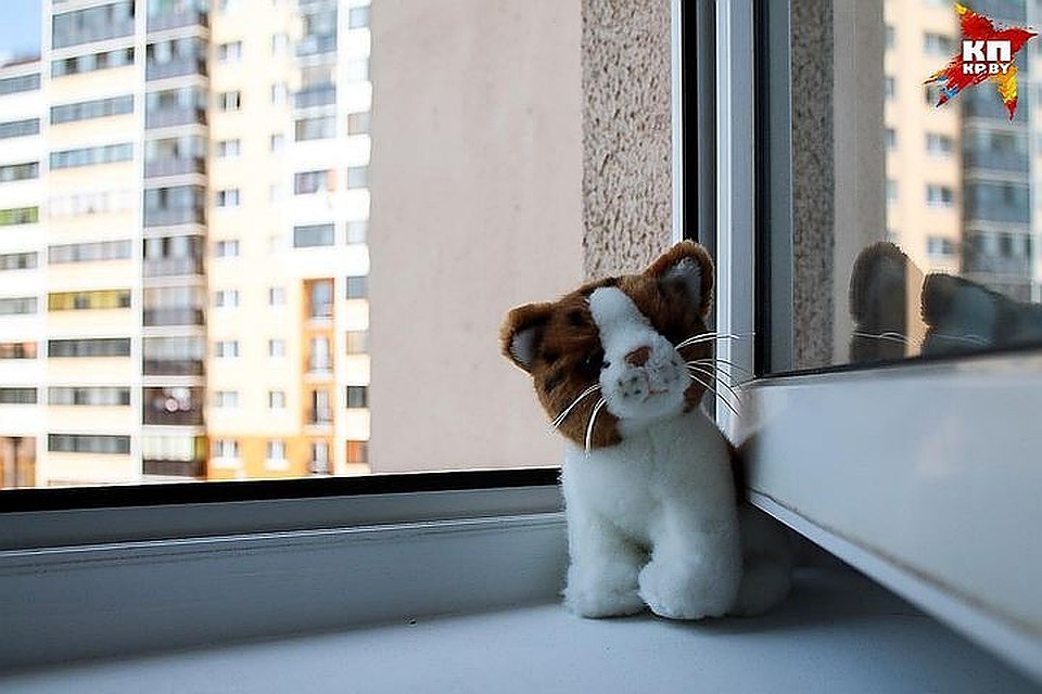 Каждый год в Беларуси происходят ЧП - дети выпадают из окон. Родителей при необходимости просят установить на окнах специальные замки, чтобы избежать несчастного случая.