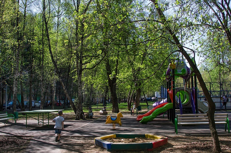 Челябинцы в шоке от зеленых дворов Подмосковья. ФОТО: Любовь Богородцева.