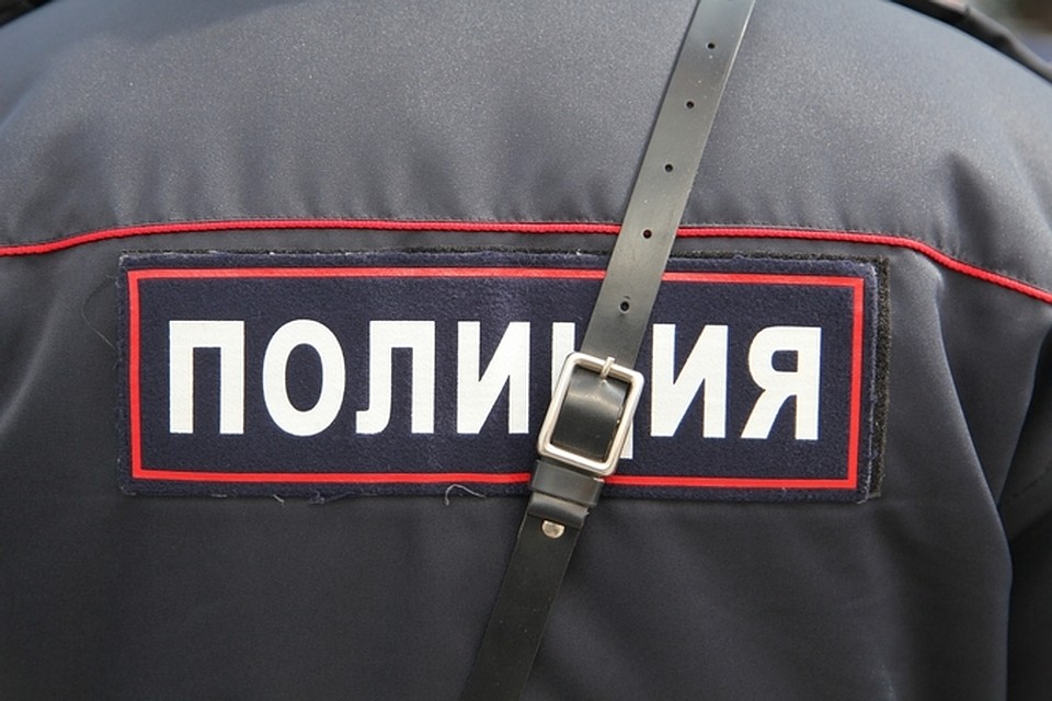 Все места массового сбора людей обследуют кинологи с собаками