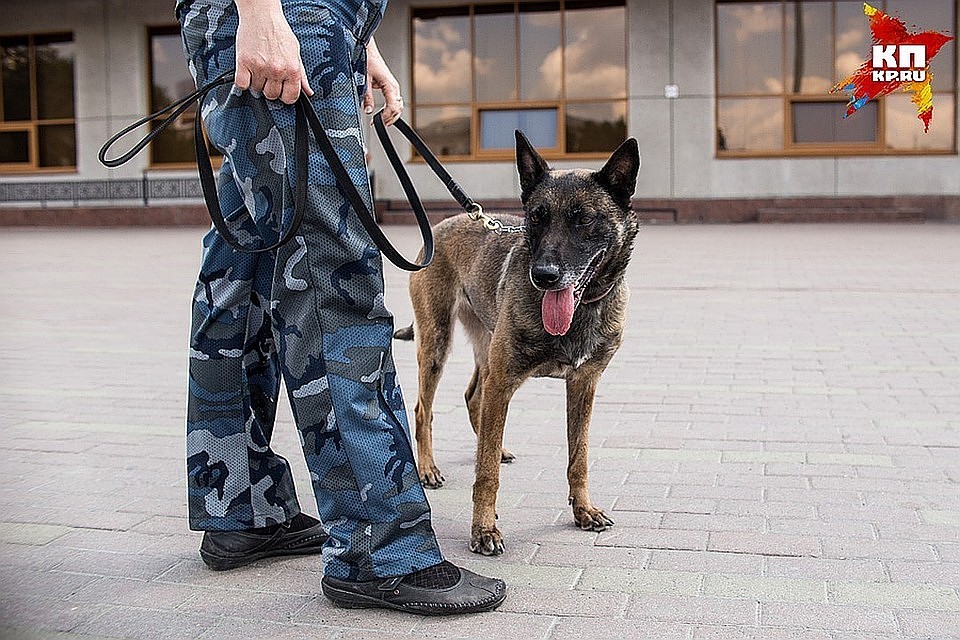 Фото: Валерий ЗВОНАРЕВ