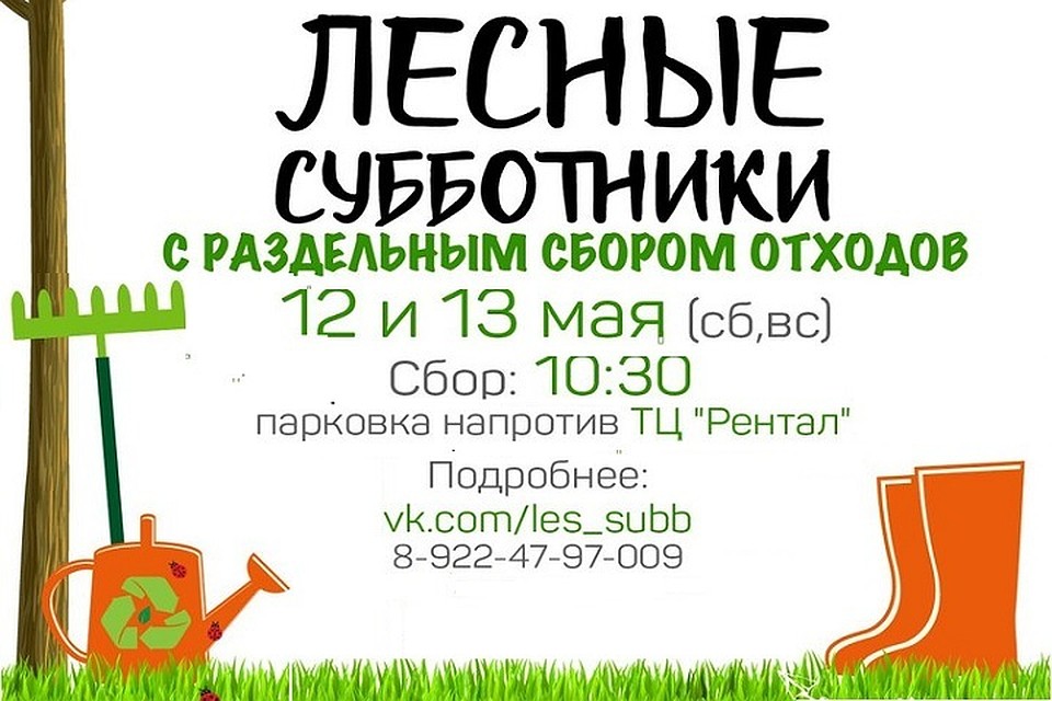 Волонтеры Тюмени вновь отправляются на субботники в лес