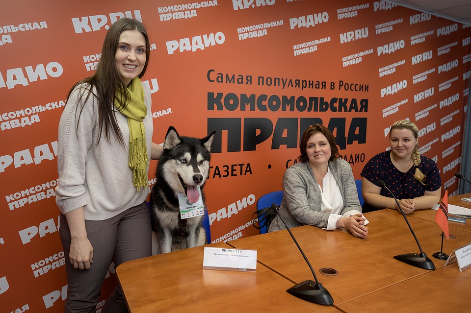 Марина Шардакова (слева) и живой символ проекта хаски Венчестер, которого дети частенько принимают за Серого волка.