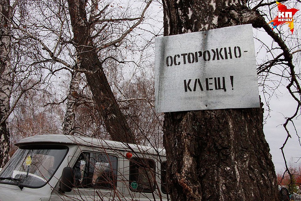 Четверть из них приходится на жителей краевой столицы.