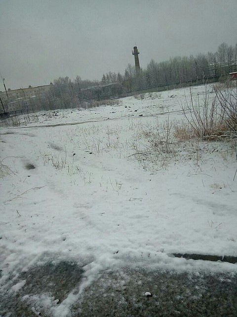 В городе Тында неожиданно выпал снег