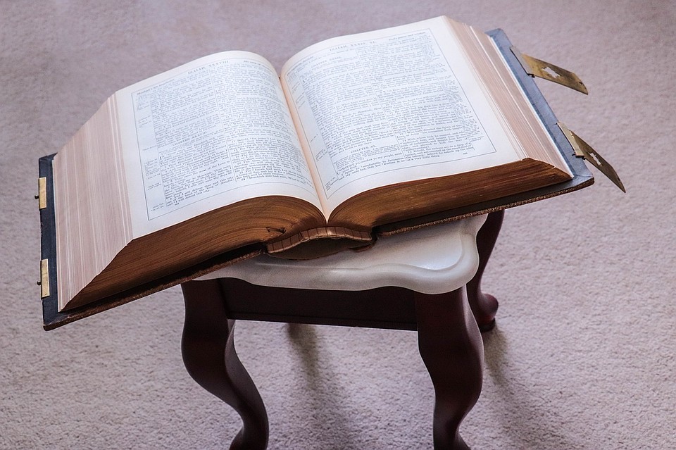 Фото: Pixabay