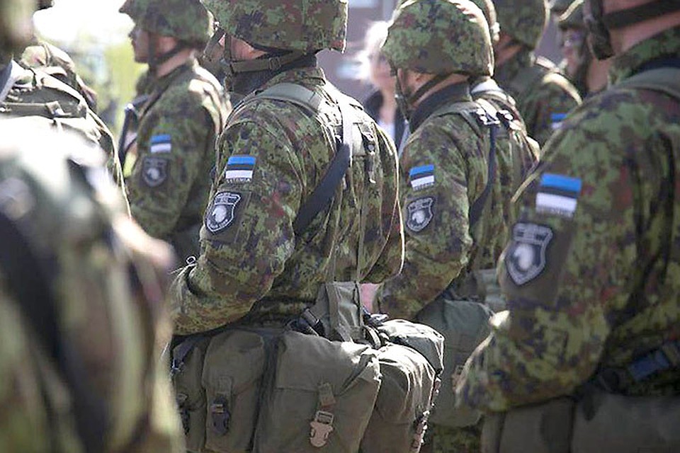 В Эстонии прошли крупные международные военные учения Siil. Фото: с сайта anna-news.inf