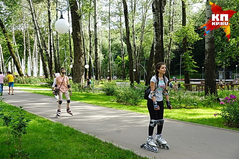 Тренировка пройдет в Центральном парке.