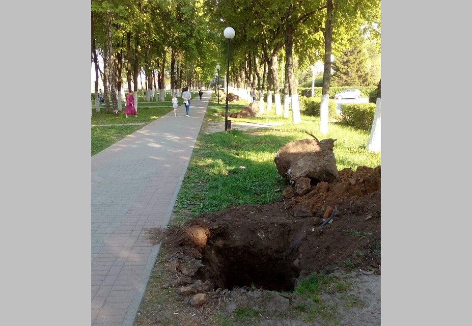 Глубина ям – не менее метра, так что опасность они представляют серьезную