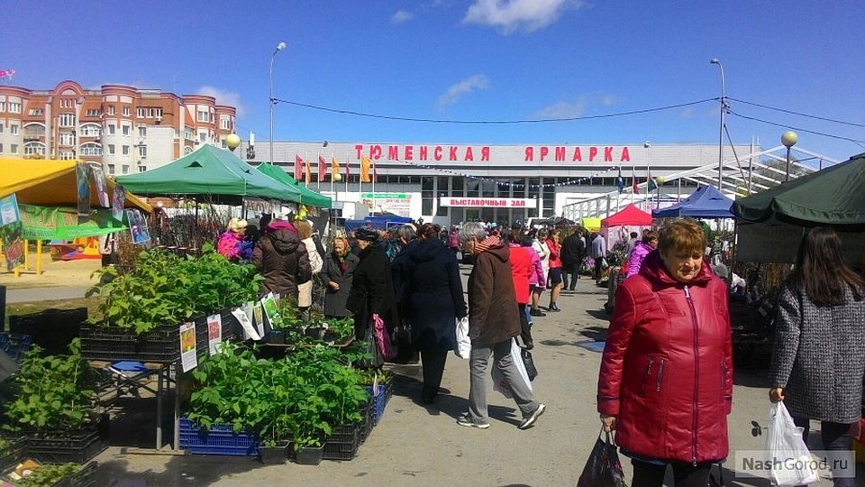 Дачников и огородников Тюмени приглашают на выставки за саженцами и семенами. Фото t-i.ru