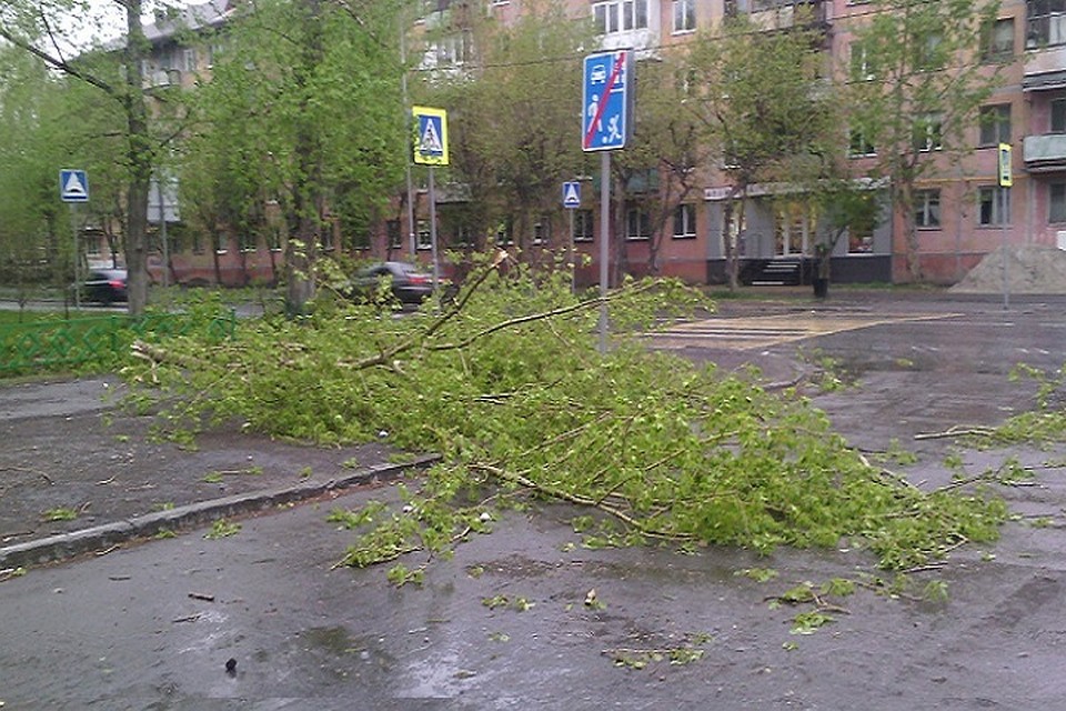 В Тюмени очередной ураган «добил» каскаринскую общагу, развернул теплицу и вынес «Дачу» на проезжую часть