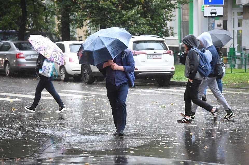 Фото: Михаил Фролов