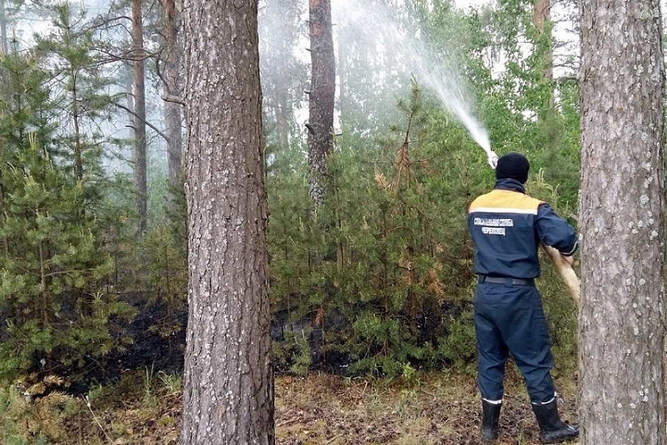 Служба спасения Череповца