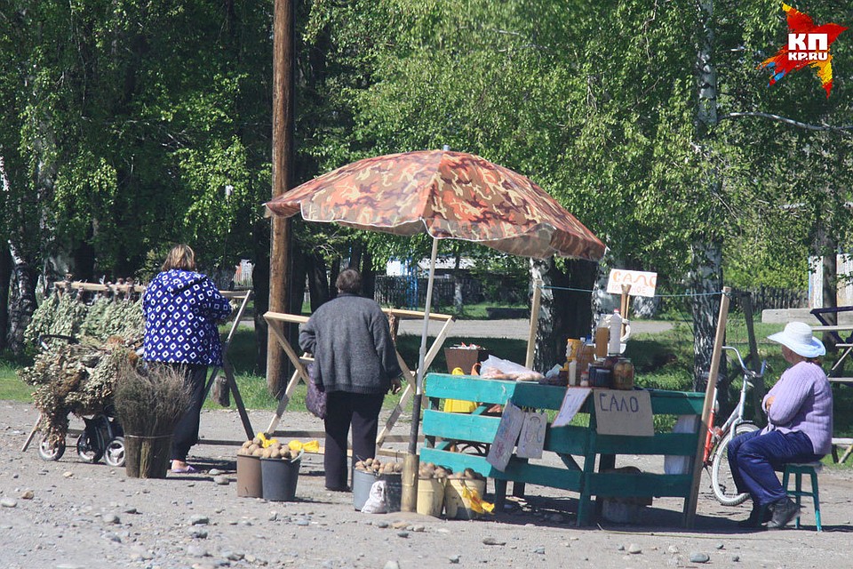 Можжевельник плохо возобновляется в природе.
