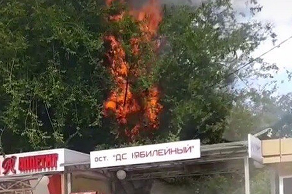 Огонь вблизи выглядел грозно, но оказался не таким уж страшным.