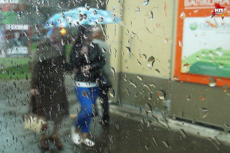 Кузбассовцев предупреждают об усилении ветра днем 3 июня