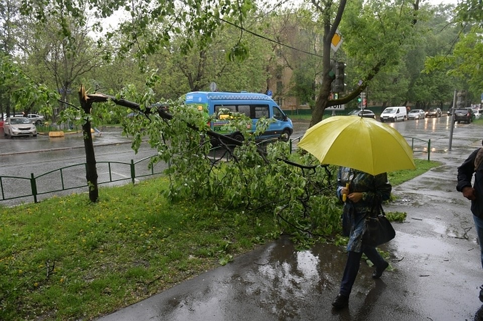 На Южный Урал надвигаются ливни и грозы.