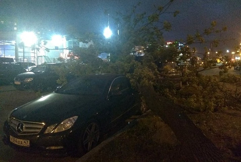 Фото: группа ВКонтакте "ДТП и ЧП | Петербург".