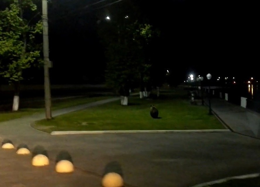 Фото: скриншот видео