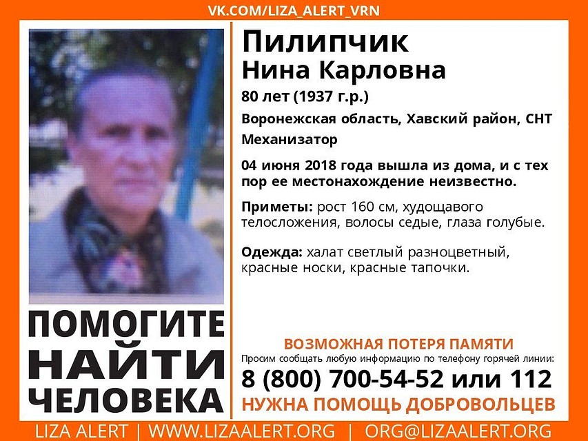 Ориентировка "Лиза Алерт"