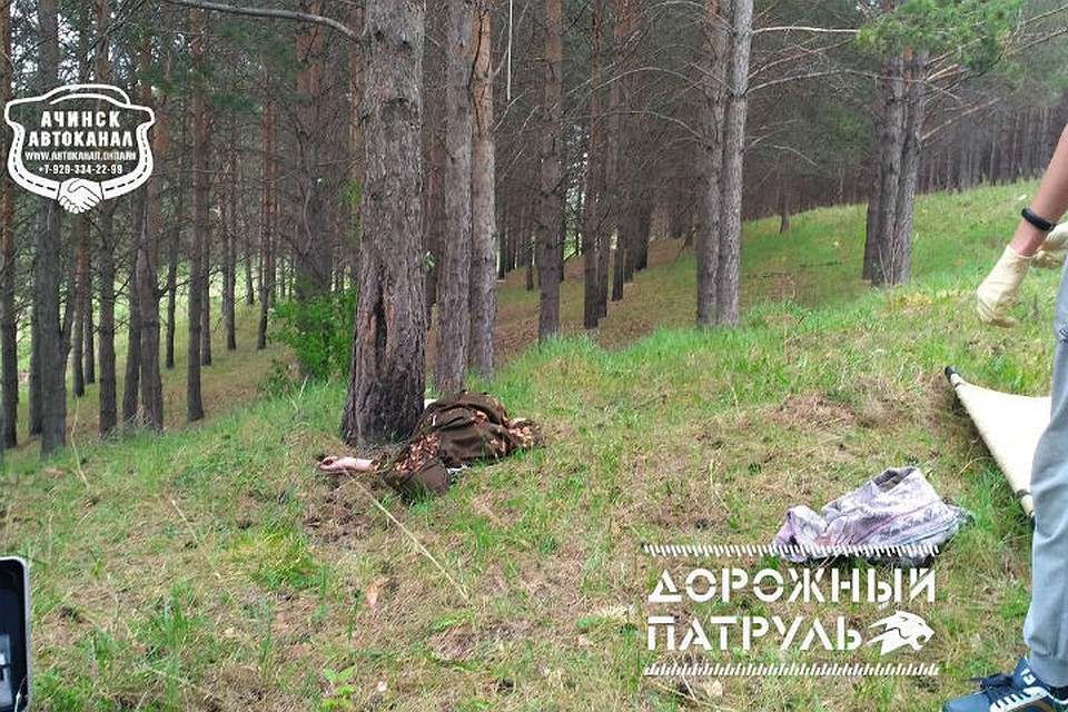 Труп мужчины на дереве обнаружили в Ачинске. Фото: Ачинск автоканал.