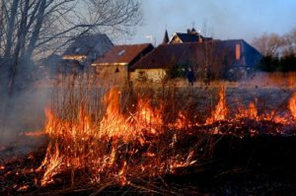 В Кузбассе 45 человек заплатят 215 тысяч рублей за выжигание сухой травы