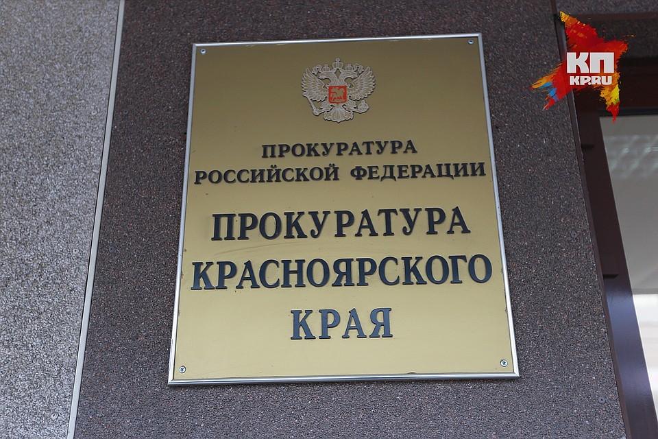Красноярская прокуратура занялась историей с покалеченной собакой