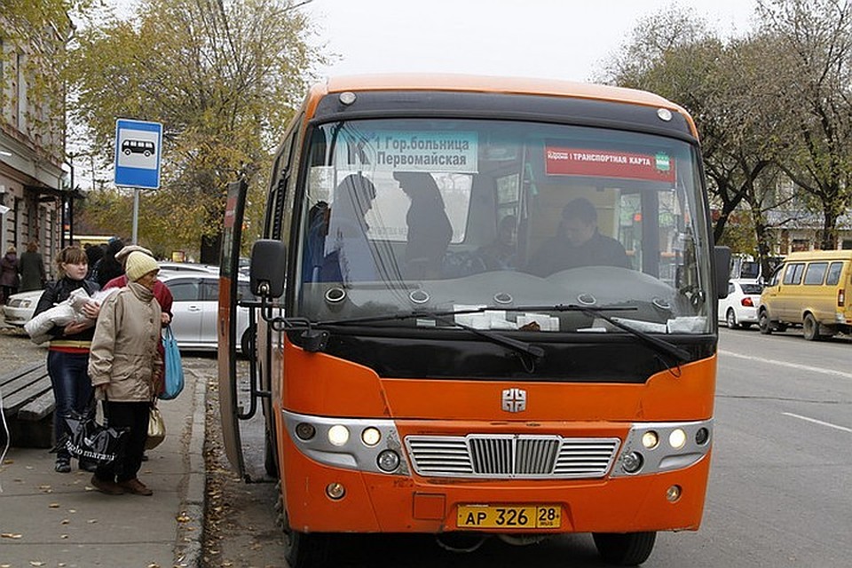 Автобусы будут ходить ежедневно