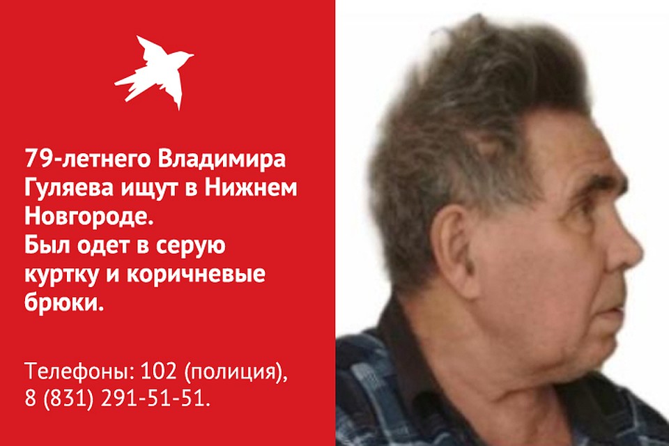В Нижнем Новгороде разыскивают 79-летнего Владимира Гуляева, страдающего потерей памяти